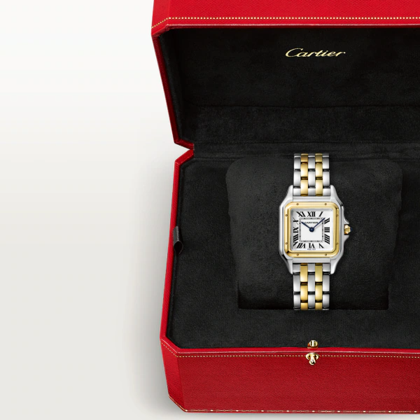 Unworn Panthère, Stainless Steel, 18k Yellow Gold, 29mm x 37mm - image 8