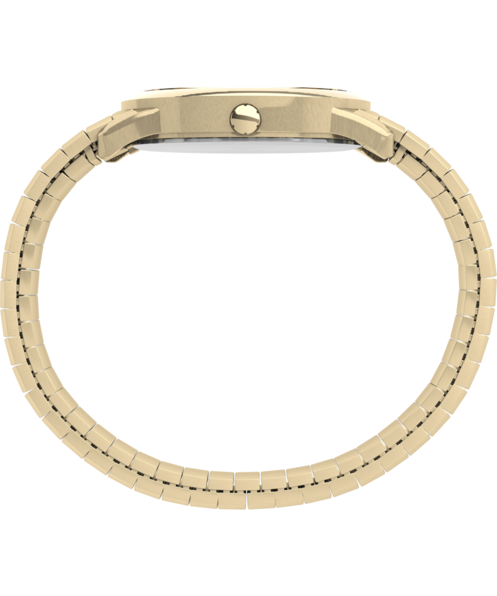 Easy Reader 35mm Expansion Band Watch