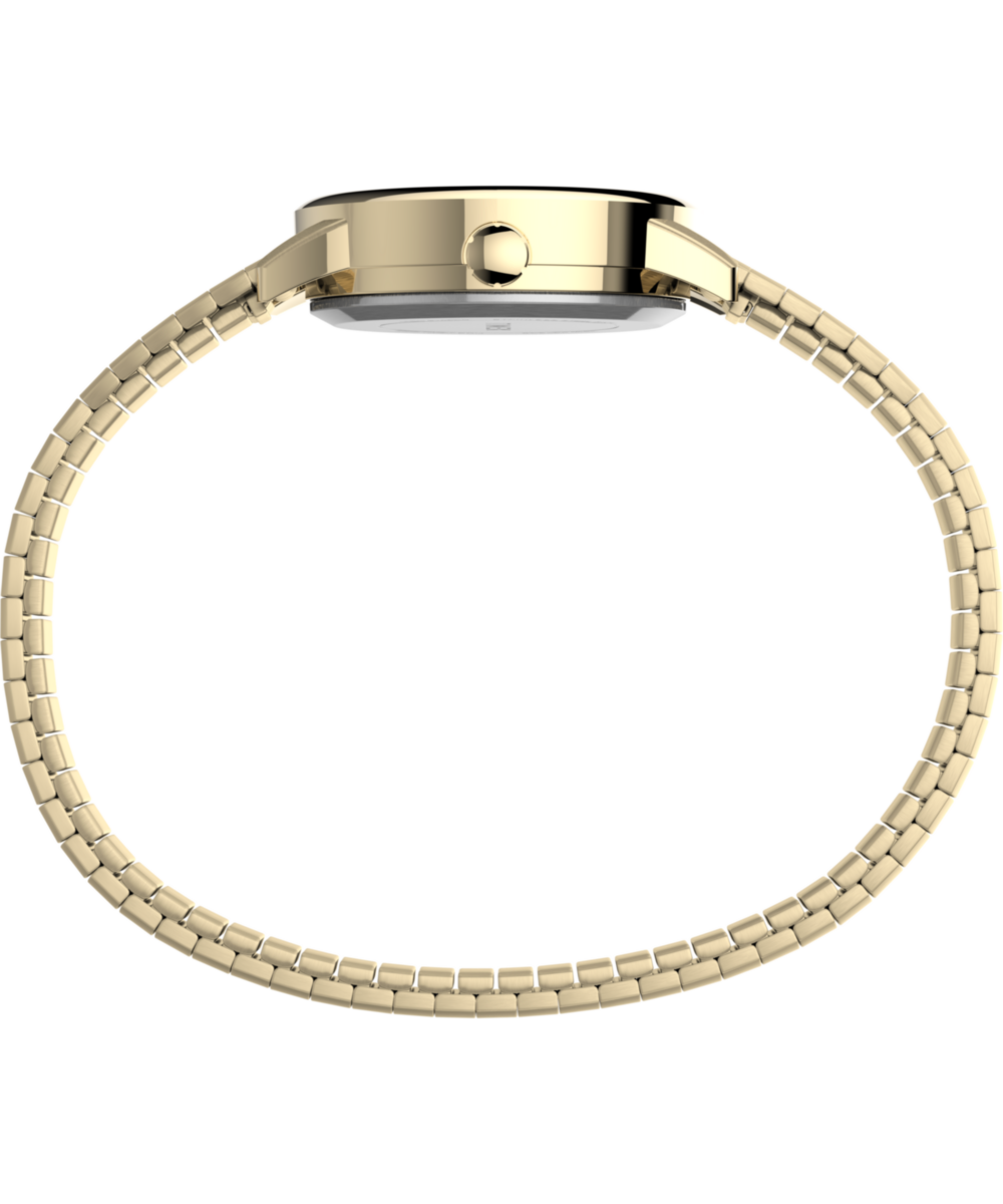 Easy Reader® 25mm Expansion Band Watch