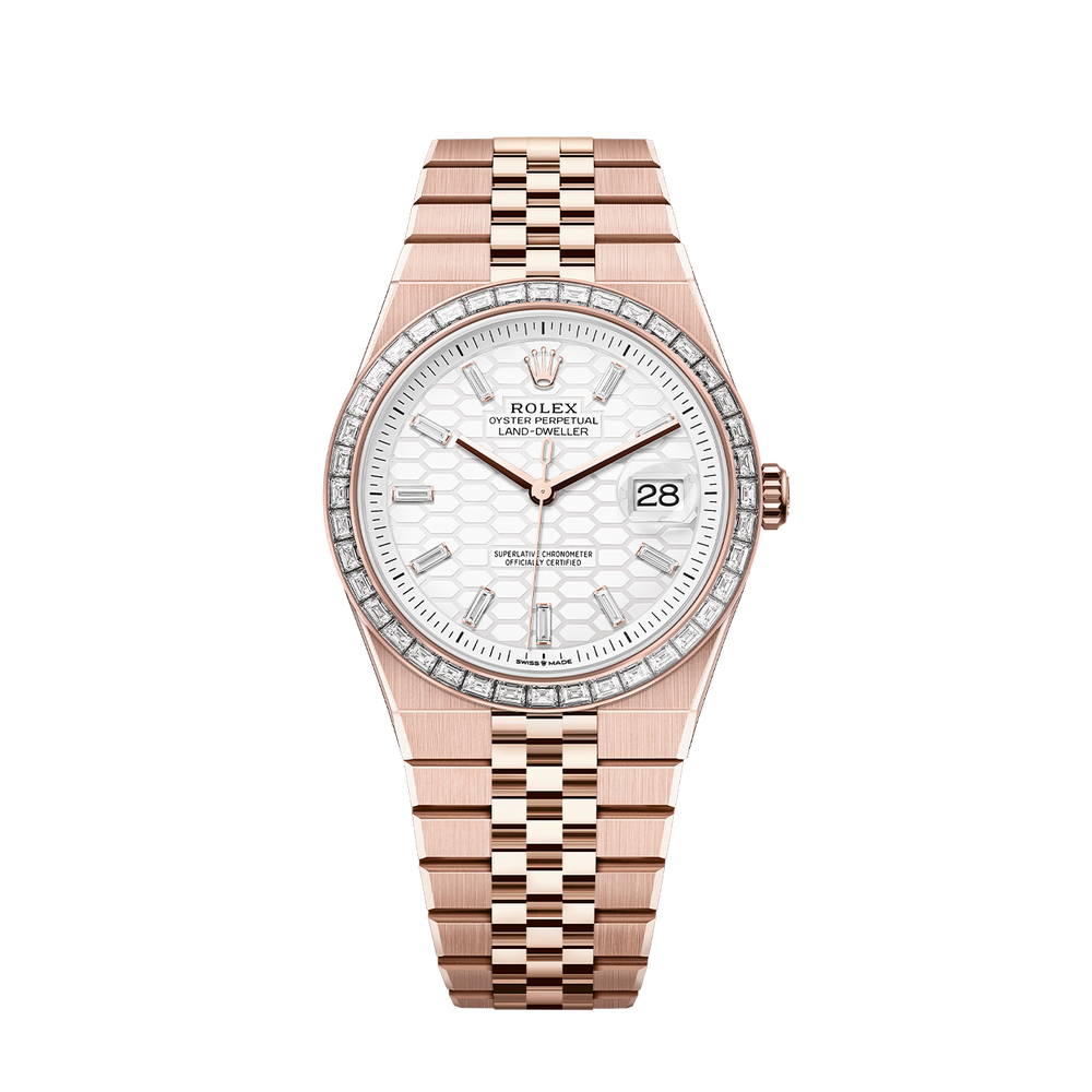 Land-Dweller 40mm Oyster Everose Gold & Diamonds
