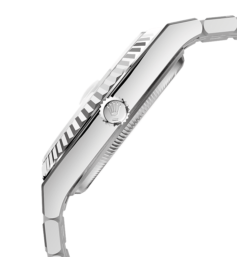 Land-Dweller 36mm Oystersteel & White Gold - image 5