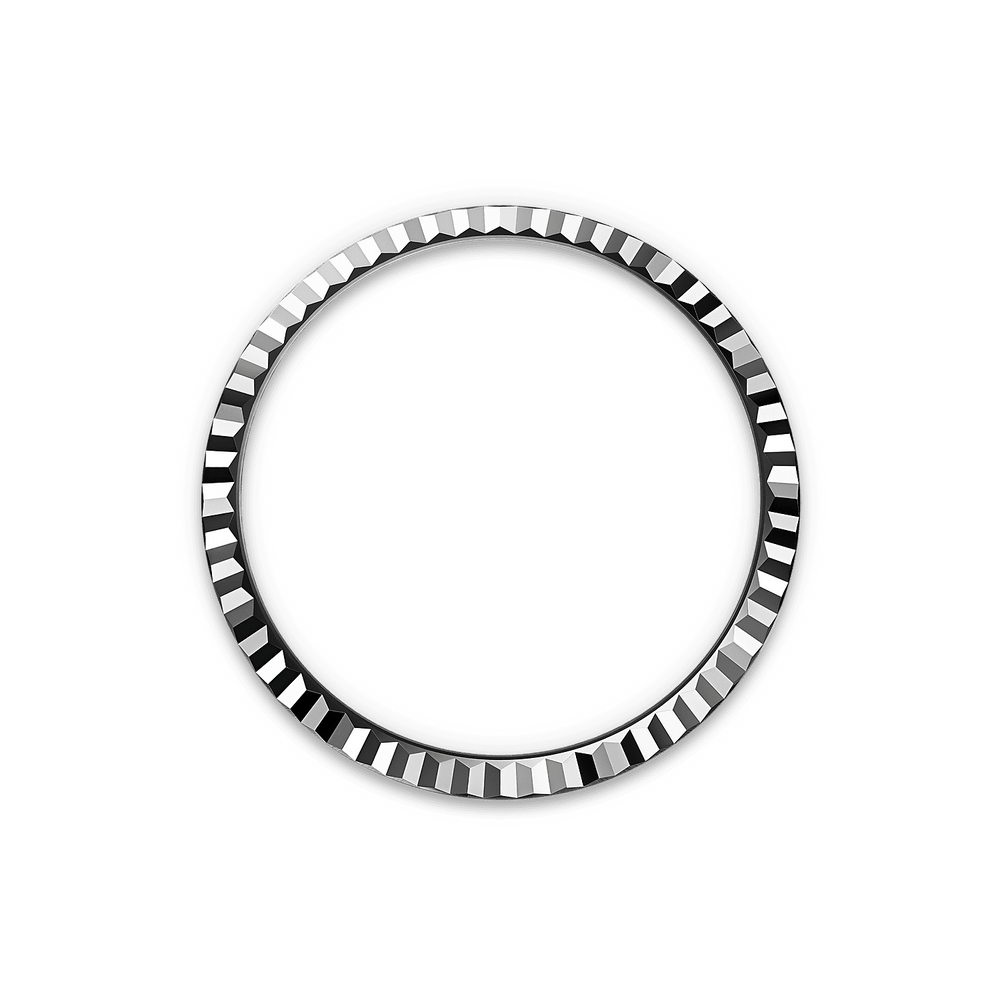 Land-Dweller 36mm Oystersteel & White Gold - image 4