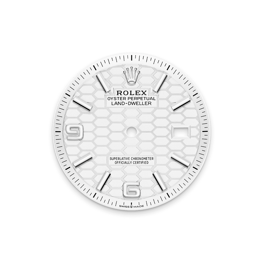 Land-Dweller 36mm Oystersteel & White Gold - image 3
