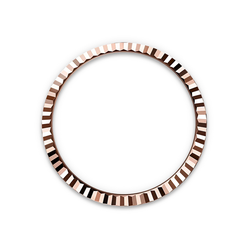 Land-Dweller 40mm Oyster Everose Gold M127335-0001 - image 4