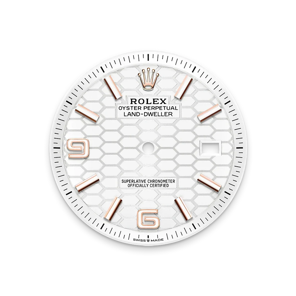 Land-Dweller 40mm Oyster Everose Gold M127335-0001 - image 3