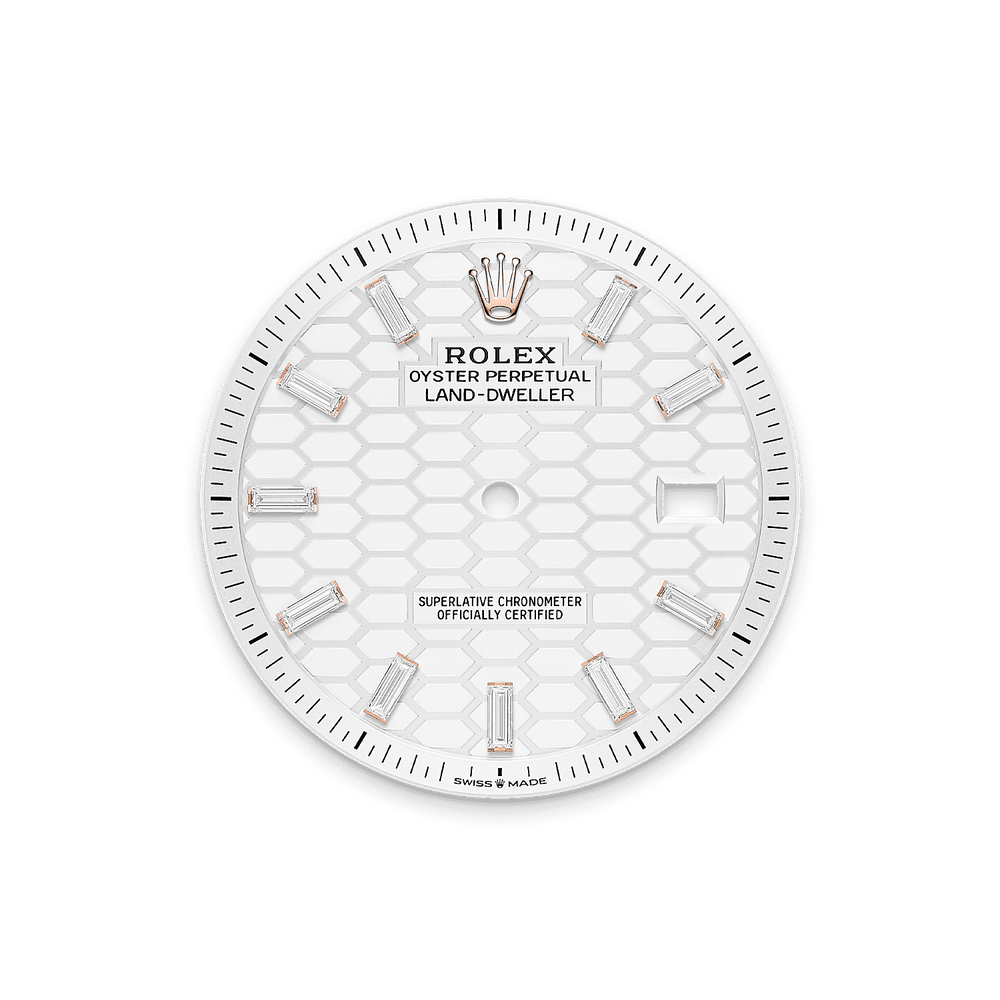 Land-Dweller 40mm Oyster Everose Gold & Diamonds - image 2