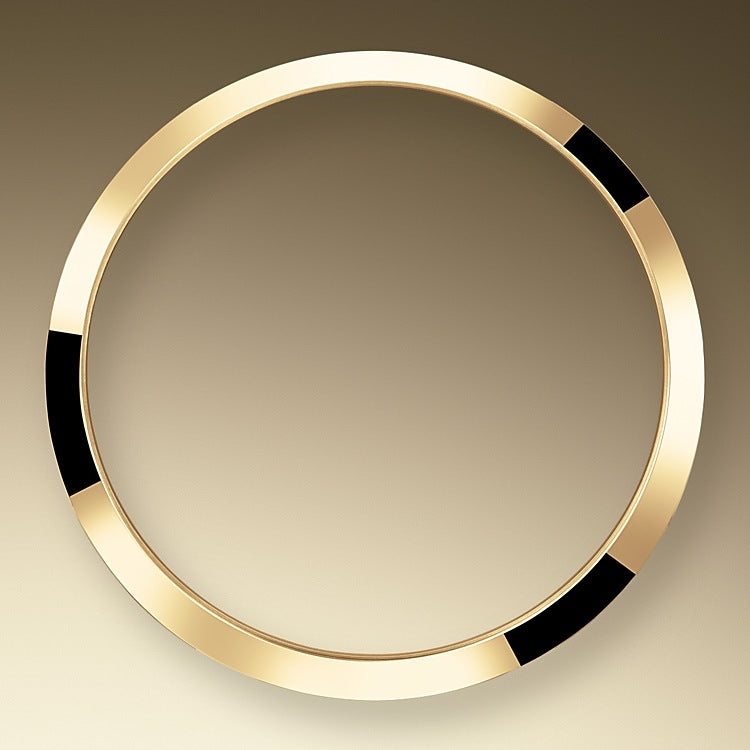 Explorer, 18k Yellow Gold and Stainless steel, 36mm, 2024 - image 6