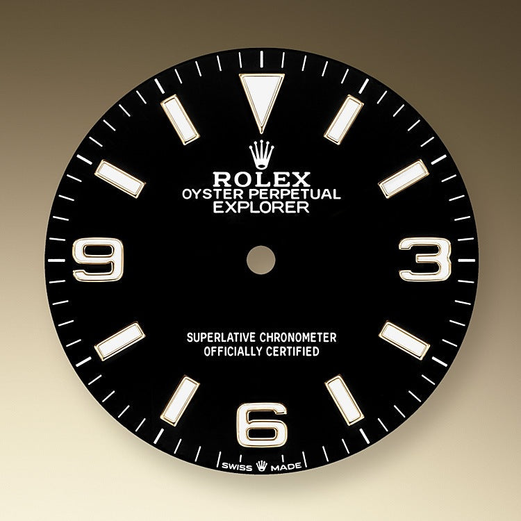 Explorer, 18k Yellow Gold and Stainless steel, 36mm, 2024 - image 2
