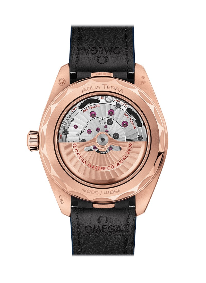 Seamaster Aqua Terra 150m Co‑Axial Master Chronometer GMT Worldtimer - image 2
