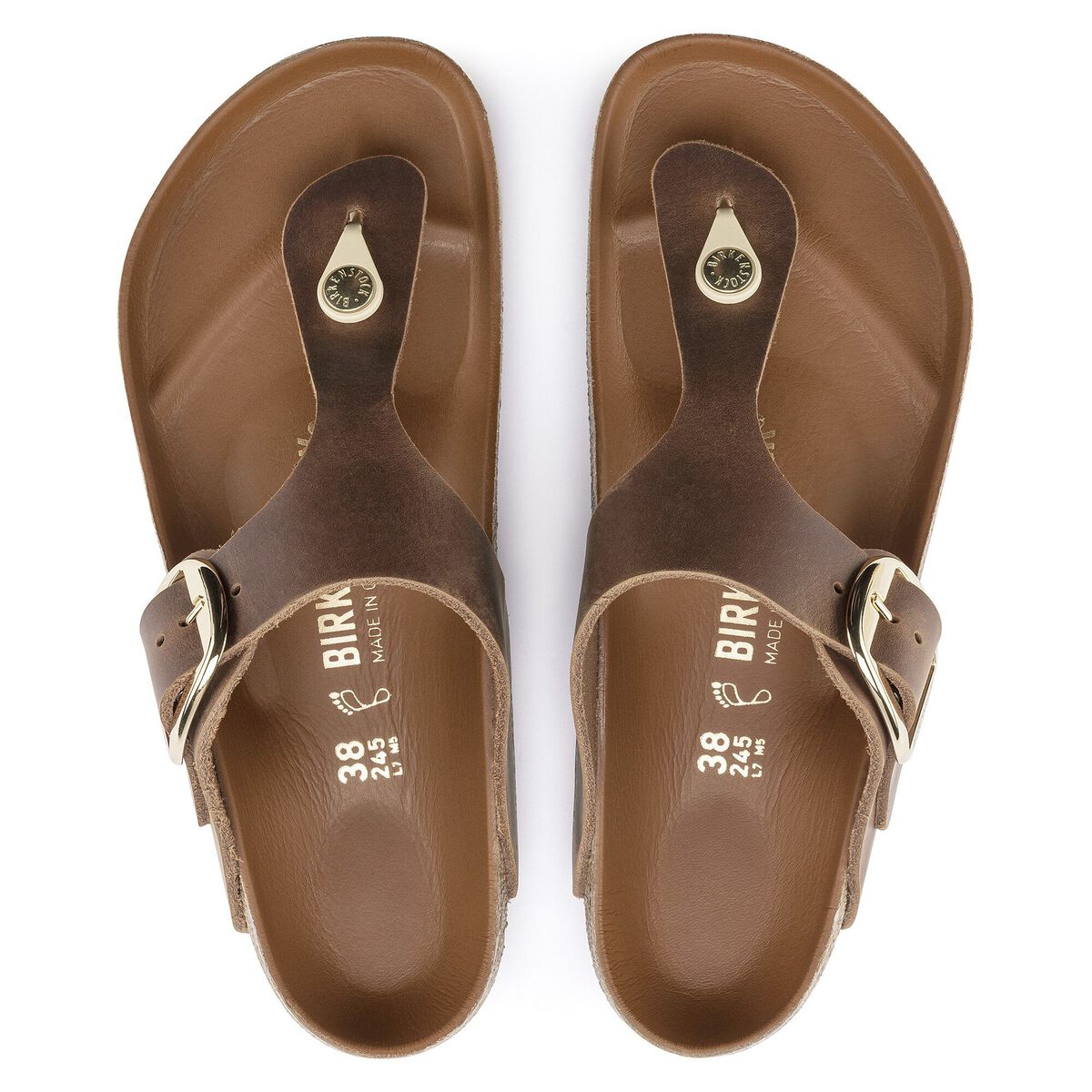 Gizeh Big Buckle Oiled Leather