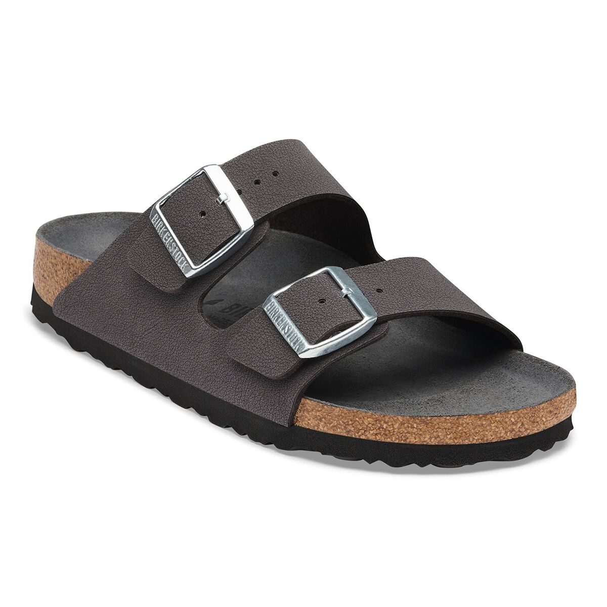 Arizona Birkibuc