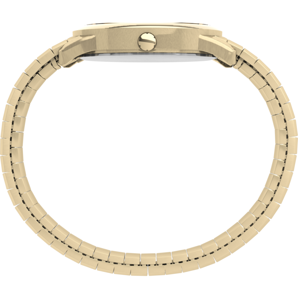 Easy Reader 35mm Expansion Band Watch