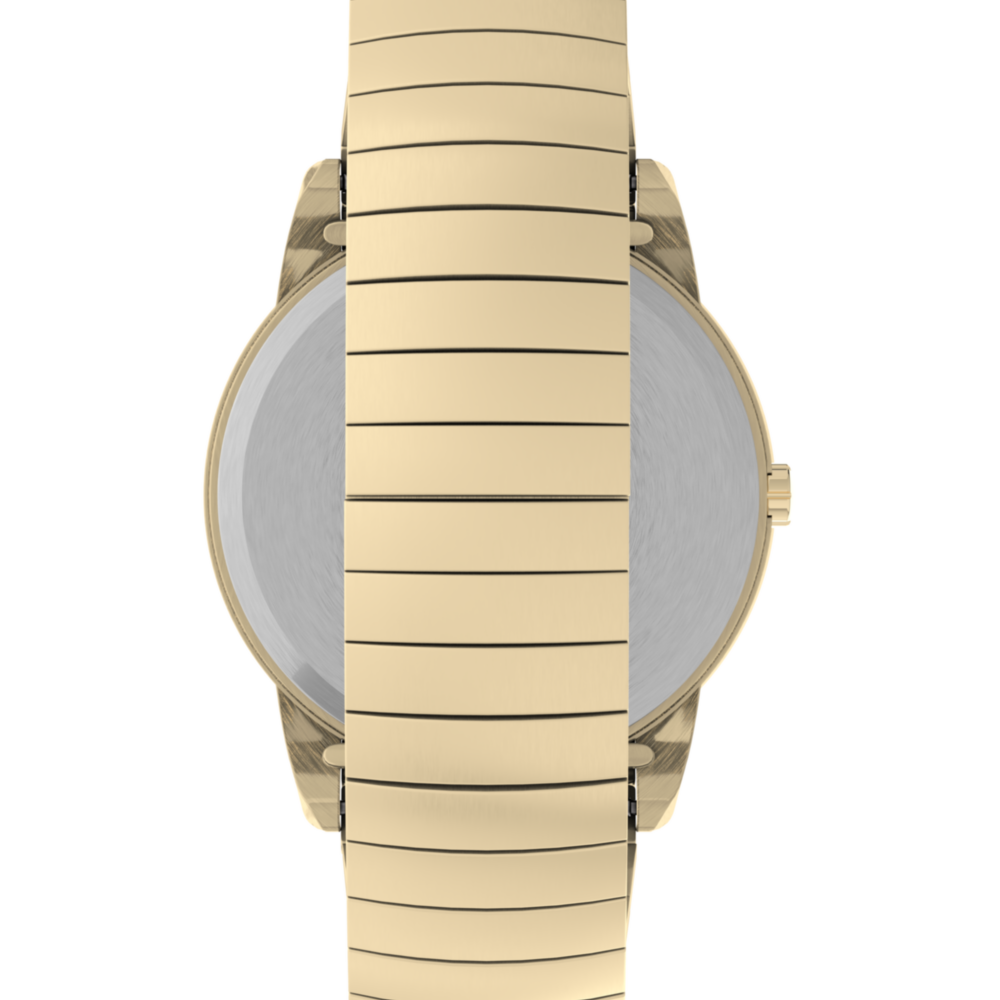 Easy Reader 35mm Expansion Band Watch