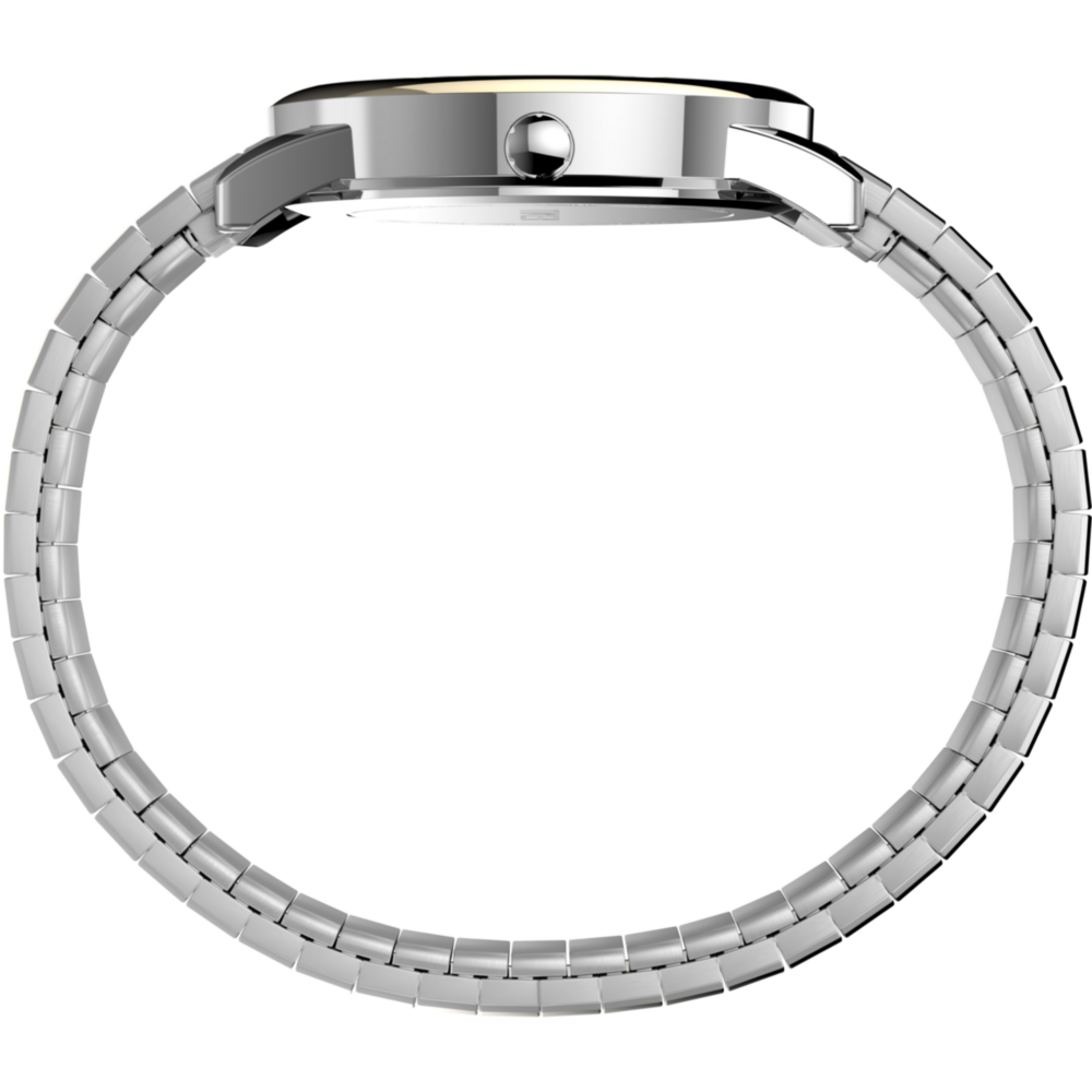 Easy Reader 35mm Expansion Band Watch