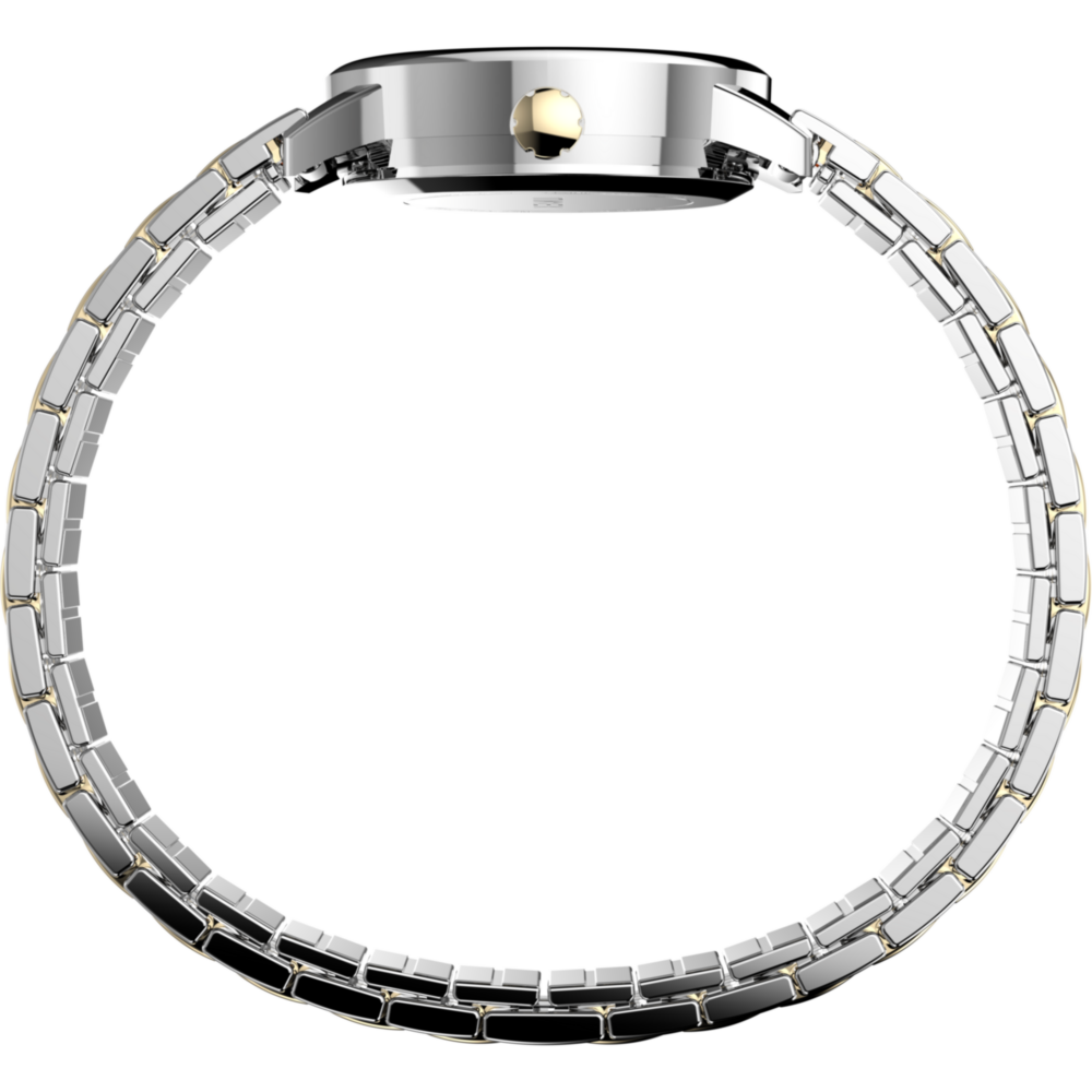 Easy Reader® 25mm Expansion Band