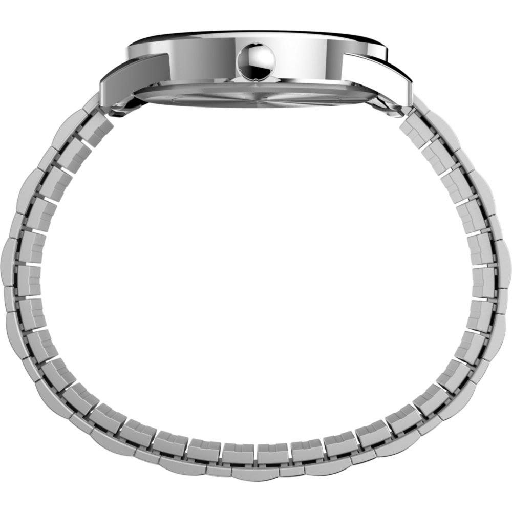 Easy Reader Date 38mm Expansion Band Watch
