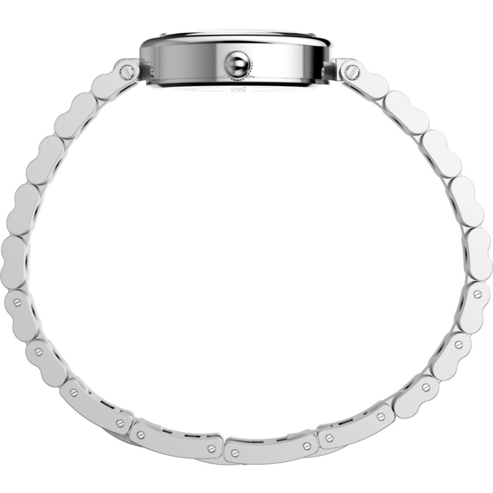 Cavatina® Luxe 22mm Stainless Steel Watch