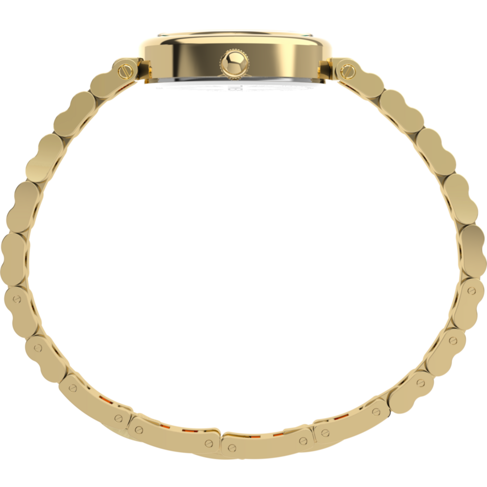 Cavatina® Luxe 22mm Stainless Steel Watch