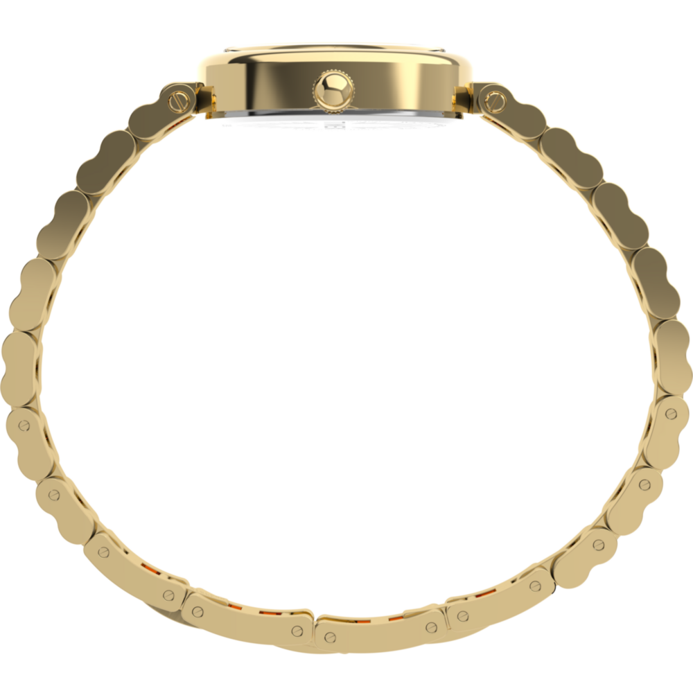 Cavatina® Luxe 22mm Stainless Steel Watch