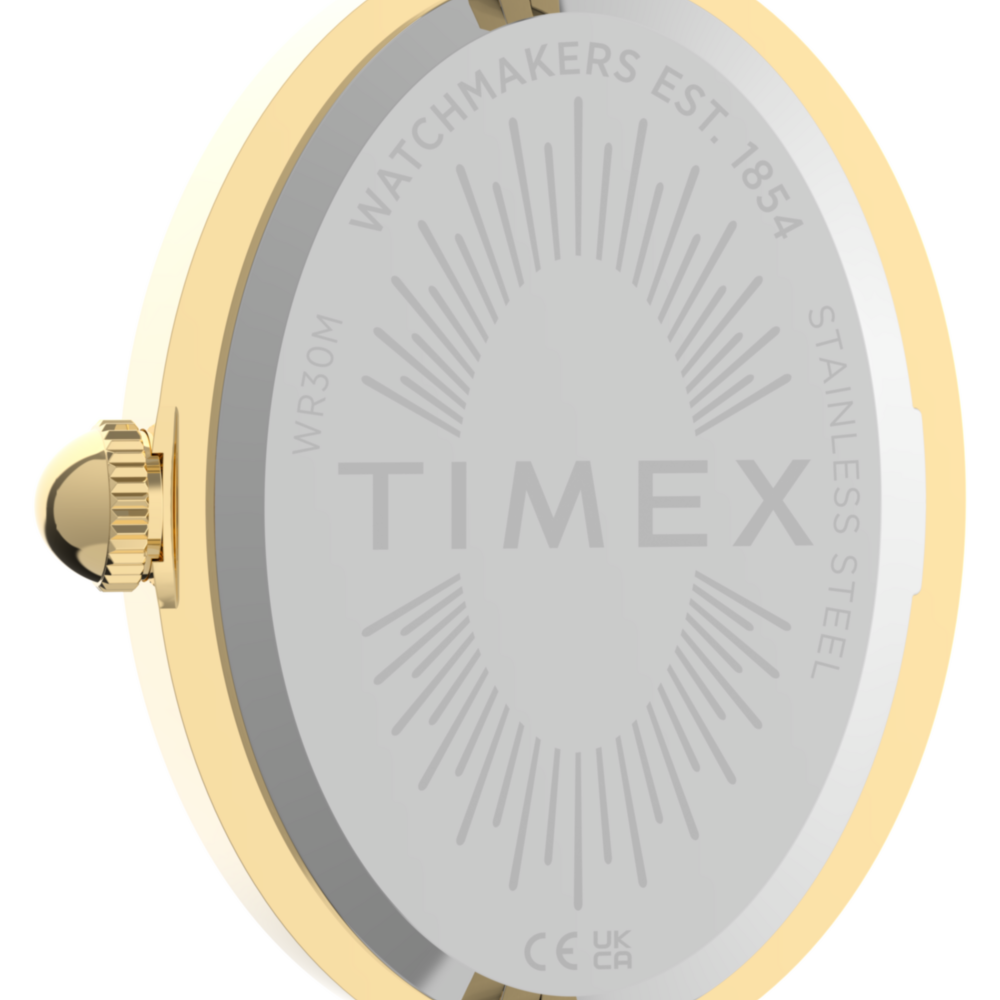 Cavatina® Luxe 22mm Stainless Steel Watch